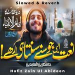 Na Aya Hai Na Ayega (Slowed &amp; Reverb)