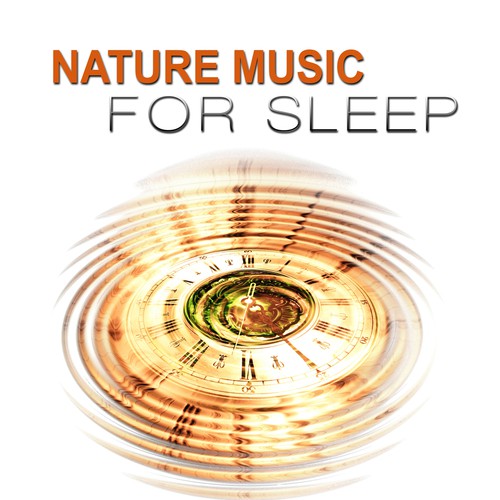 Nature Music for Sleep - Moody Music for Deep Sleep, Say Goodbye to Insomnia, Listen to Relaxing Sound of Ocean and Rain, Relaxation