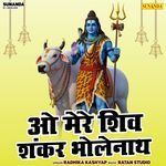 O Mere Shiv Shankar Bholenath