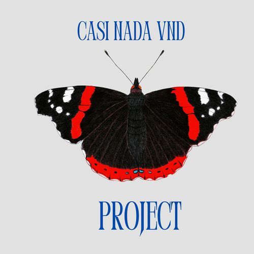 Project cover art