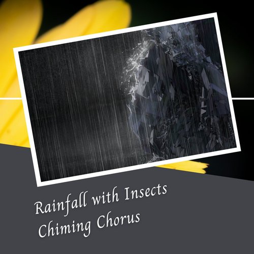 Rainfall with Insects Chiming Chorus_poster_image