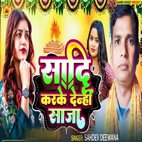 Sadi Karke Denhi Saja