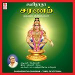 Shabarinaatha Sharnam