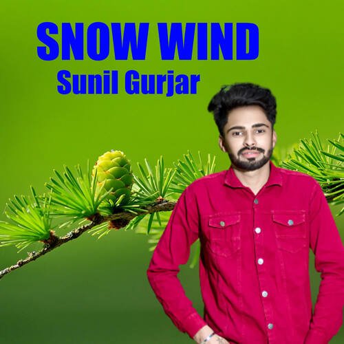 Snow Wind