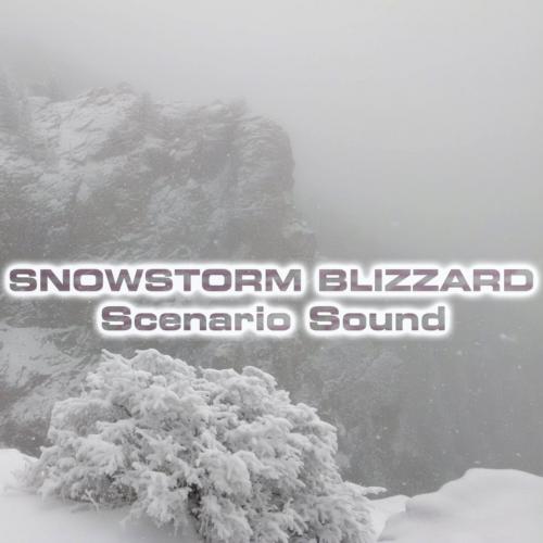 Snowstorm Blizzard Sound (feat. Snowstorm Sounds, Snowstorm Wind Sounds, Wind Atmosphere Sounds, Wind Sounds 3D, Atmospheres Sounds & Atmospheres White Noise Sounds) cover art