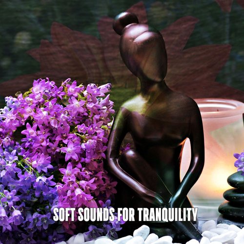 Soft Sounds For Tranquility