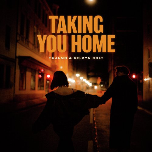 Taking You Home_poster_image