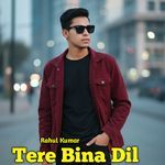 Tere Bina Dil