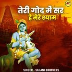 Teri God Mein Sar Hai Mere Shyam