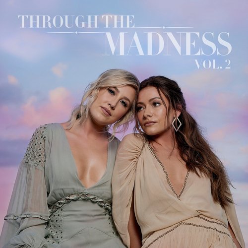 Through The Madness Vol. 2_poster_image