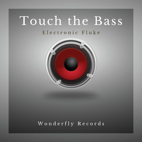 Touch the Bass_poster_image