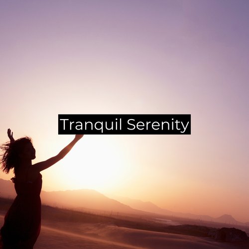 Tranquil Serenity (Relaxing meditation music)_poster_image