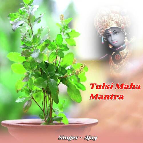 Tulsi Maha  Mantra