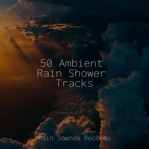 Thunderstorms cover art