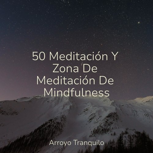 Momentos De Meditación cover art