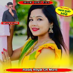 Aasiq Royal Ch Maro