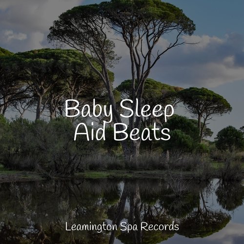 Baby Sleep Aid Beats