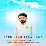 Bapu Pyar Tera Pana