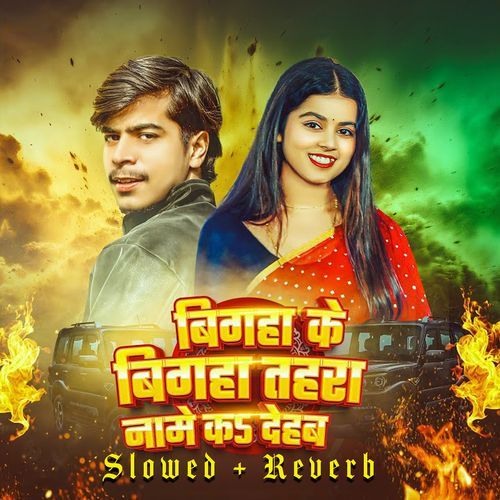 Bigha Ke Bigha Tahra Name Ka Dehab Slowed + Reverb