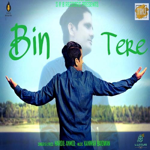 Bin Tere