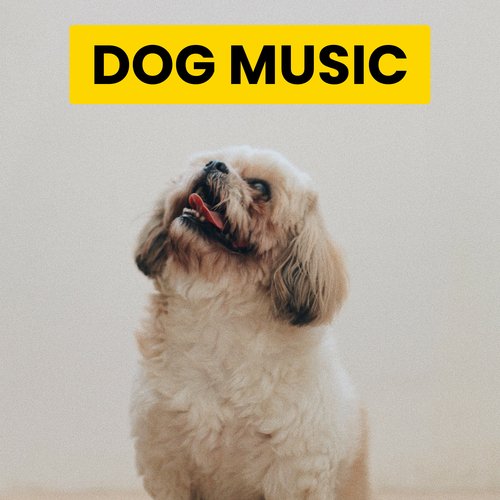 Calm Doggy cover art