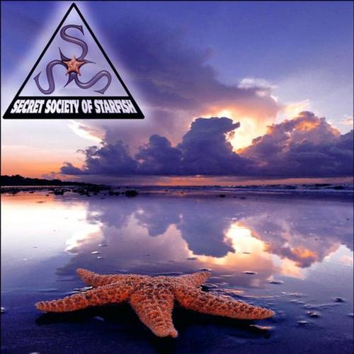 Verity cover art