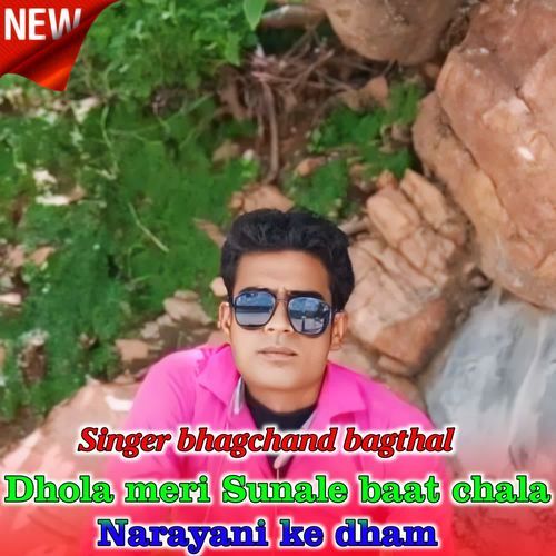 Dhola meri Sunale baat chala Narayani ke dham