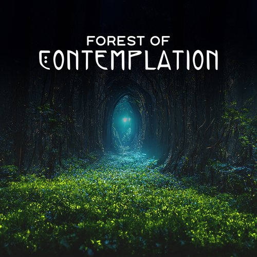 Forest of Contemplation: Tranquility, Self-Reflection, Quiet the Mind_poster_image