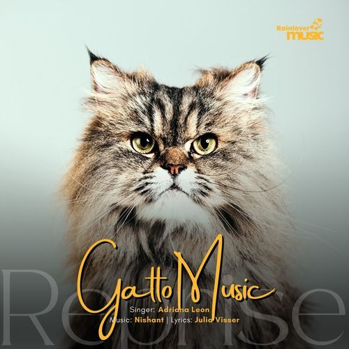 Gatto Music Reprise