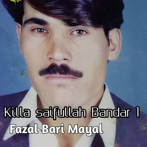 Killa saifullah Bandar 1