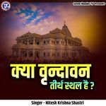 Kya Vrindavan Tirth Sthal Hai?