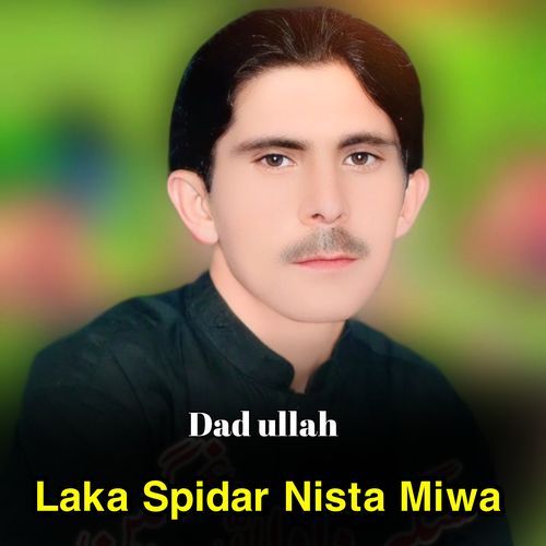 Laka Spidar Nista Miwa