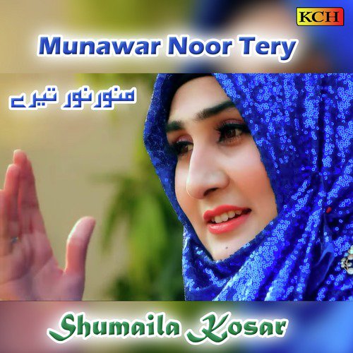 Munawar Noor Tery_poster_image