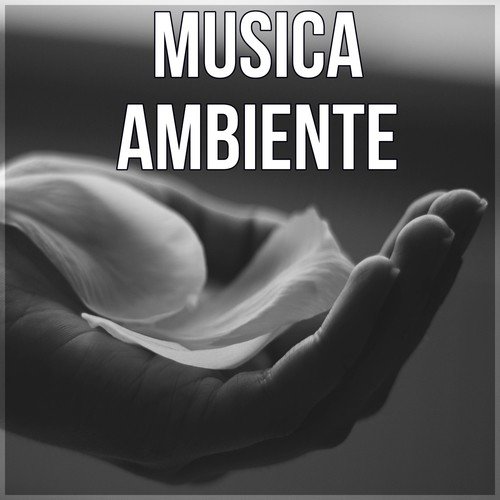 Musica Ambiente – Relajacion, Musica Reiki, Musica de Fondo, Musica para Meditar, Nueva Era