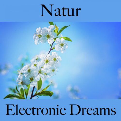 Natur: Electronic Dreams - Die Beste Musik Zum Entspannen_poster_image