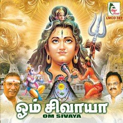 Om Namashivaya-XVpaZxhEdVI