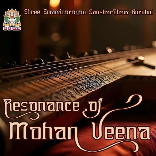 Resonance of Mohan Veena