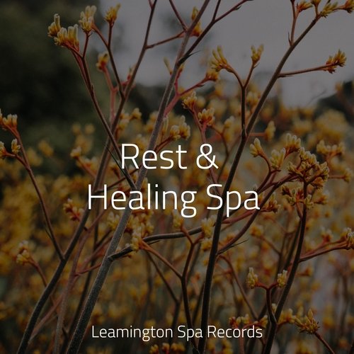 Rest & Healing Spa