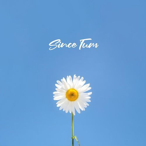 Since Tum cover art