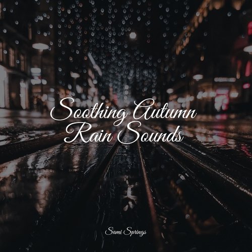 Soothing Autumn Rain Sounds