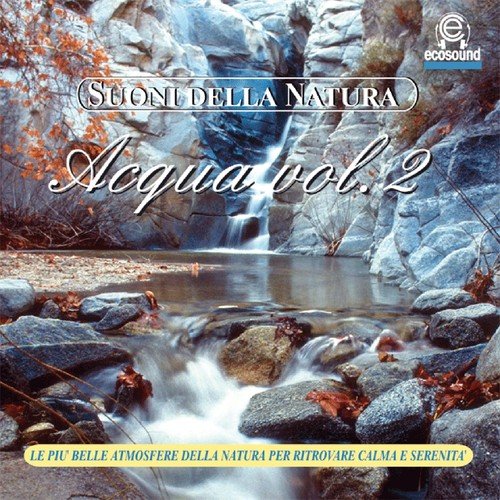 Temporale d'estate cover art