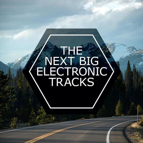 The Next Big Electronic Tracks_poster_image