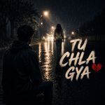 Tu Chla Gya