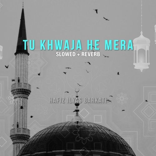 Tu Khwaja He Mera (Lofi-Mix)