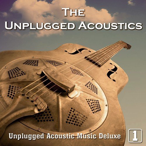 The Unplugged Acoustics