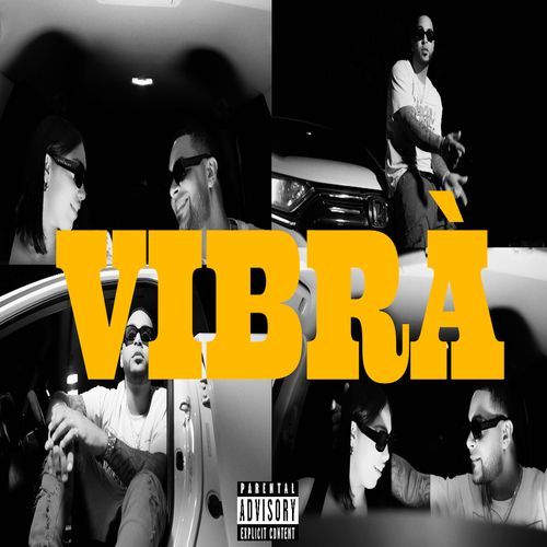 Vibra cover art