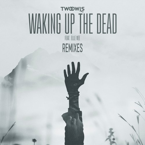 Waking Up The Dead (Remixes)_poster_image