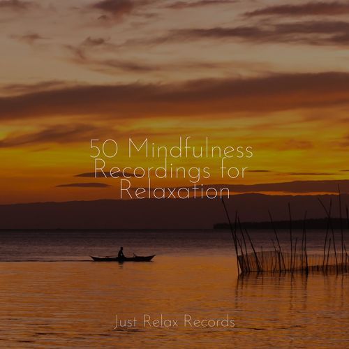 50 Mindfulness Recordings for Relaxation