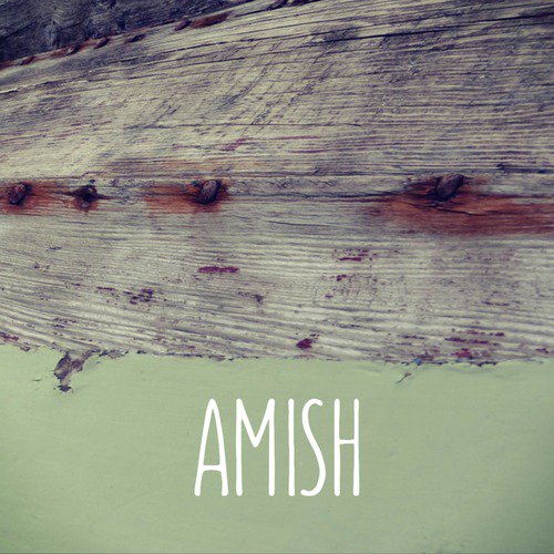 Amish cover art