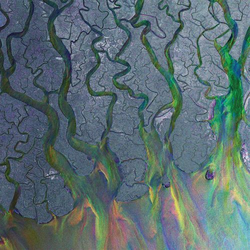 An Awesome Wave (Deluxe Version)
